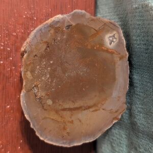 Cut Agate #2